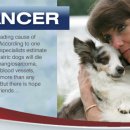 노은동물병원 이미지