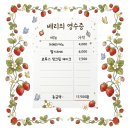 인트로케이크 - 해운대구 좌동순환로 275 | 케이크 종류 다양한 신림역 디저트 카페 | 카페레이브 솔직 후기