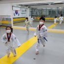 경희대사랑인태권도 이미지