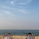 카페에세이(Cafe Essay)
