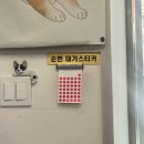 한양한방동물병원 이미지