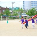 중흥초 Daum카페