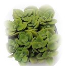 허브인허브 이미지