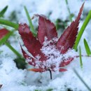 내일 행정사사무소 이미지