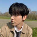 보르미네 이미지