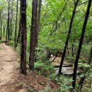 새낭골(위) 이미지