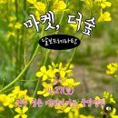 세븐일레븐진주정촌파미르점 | [플리마켓]🏡 정촌대경파미르 정원에서