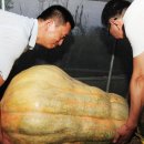 중국슈퍼 티스토리