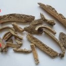 소백한의원 이미지