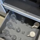 강아지풀 애견 이미지