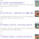 지구를지키는소소한행동 사회적협동조합 네이버블로그