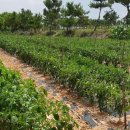 덕림환경 이미지