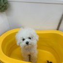 러브몽먼트 이미지