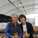 이성재농장 이미지