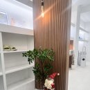 르누아(Lenua)