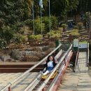 대밭집식당 | [거제여행] 운동되는 산책길.. 맹종죽테마파크