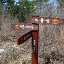 힛도농장 이미지