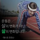 마부위침 피트니스 이미지