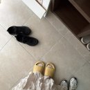 만성로 | 전주 브라이덜샤워 올리브덴스튜디오 강추! 내돈내산 후기