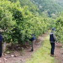 영양경찰서 이미지