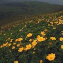 야곡목장 이미지