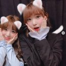 뽀짝뽀짝 이미지