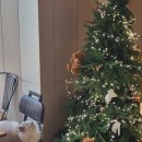 카페모퉁이 이미지