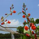 창공농장 이미지