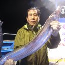 뉴 비너스 이미지