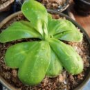 원트 청주 상당 이미지