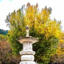 옥천사성보박물관 이미지