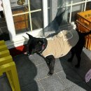 남원읍-12 | 제주 서귀포 남원읍 웨이팅 꽈배기 맛집 [백한철꽈배기&amp;식빵]