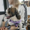 개네집곳간 이미지