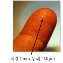 레인드롭