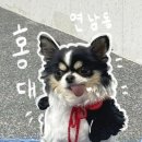 멍타쿠 이미지