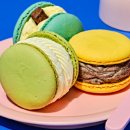 마카롱PC 이미지