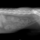 이솜동물병원 이미지