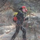 햇살좋은아침 이미지