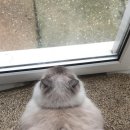 몽글몽글 이미지