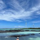 김녕돌담 이미지