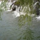 청담 바보 이미지