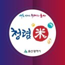 울산시청 이미지