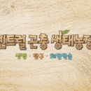 대림햇살어린이집 이미지