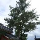 순철농장 티스토리
