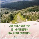 [황금연휴 호텔 (2인 1실)2022년 9월 30일~10월 3일 3박4일]제주도 한라산 백록담 (차귀도)관광안내 이미지