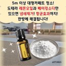 레몬세탁 | 대형카페트 청소 세탁 방법 꿀팁 도테라 레몬오일과 베이킹소다로 냄새제거와 항균효과까지 한번에 해결!