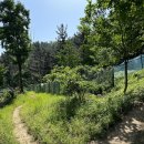 수성생활체육공원 이미지