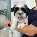 청신약국 이미지