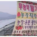 제이제이농장 네이버블로그