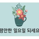 365웃장대형약국 이미지